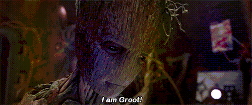 I Am Groot Translated to Where are trees my own age