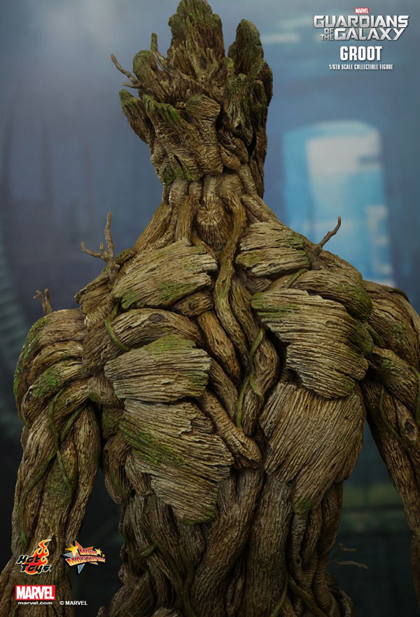 Details from Groot Hot Toys 1/6 Scale Figure