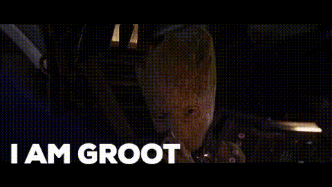 I Am Groot is translated to: Star LOSER is telling me I have to put my iPad away.