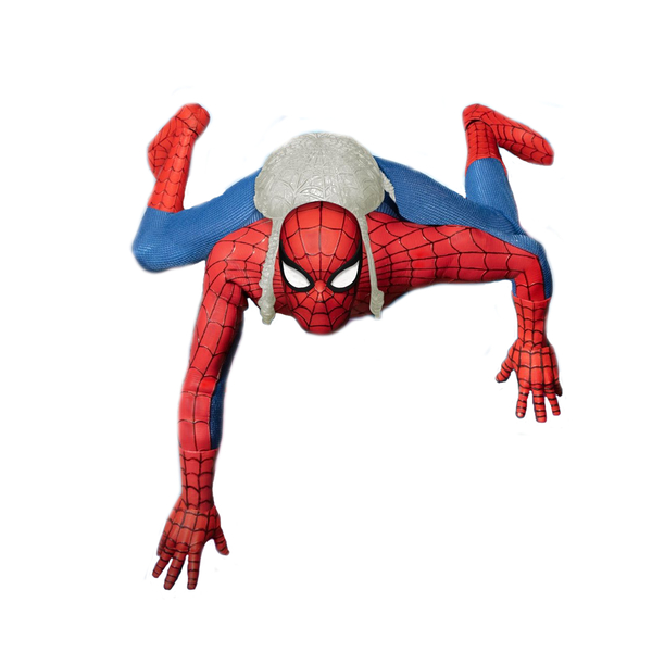 The Amazing Spider-Man Deluxe Action Figure One:12 Collective