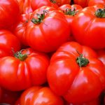 garden-grown-tomatoes